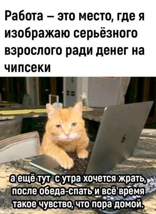 Работа  это место, где я изображаю серьёзного взрослого ради денег на чипсеки  7 оача ёлтутдс утра хочется жрать, эа 