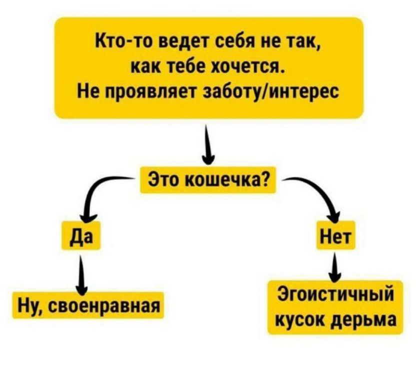 Кто-то ведет себя не так, как тебе хочется. Не проявляет заботу/интерес
Это кошечка?
Да
Ну, своеобразная
Нет
Эгоистичный кусок дерьма