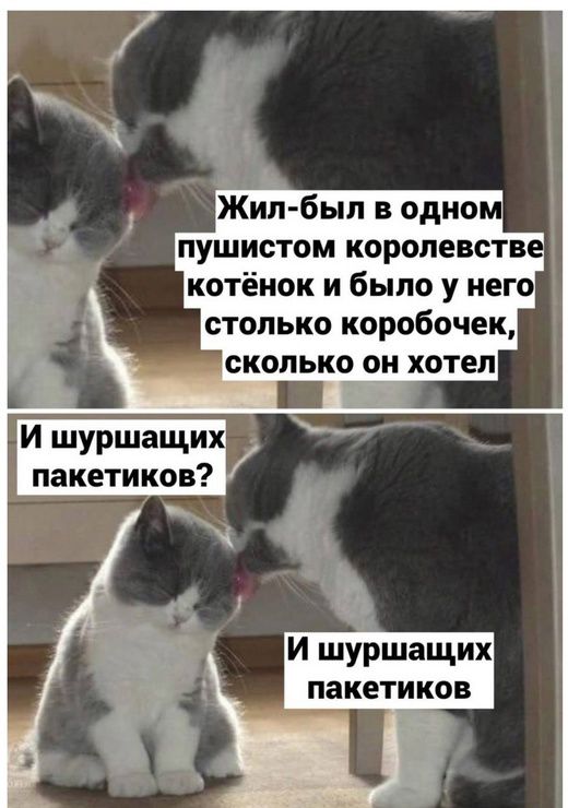 Жил-был в одном пушистом королевстве котенок и было у него столько коробочек, сколько он хотел
И шуршащих пакетиков?
И шуршащих пакетиков?