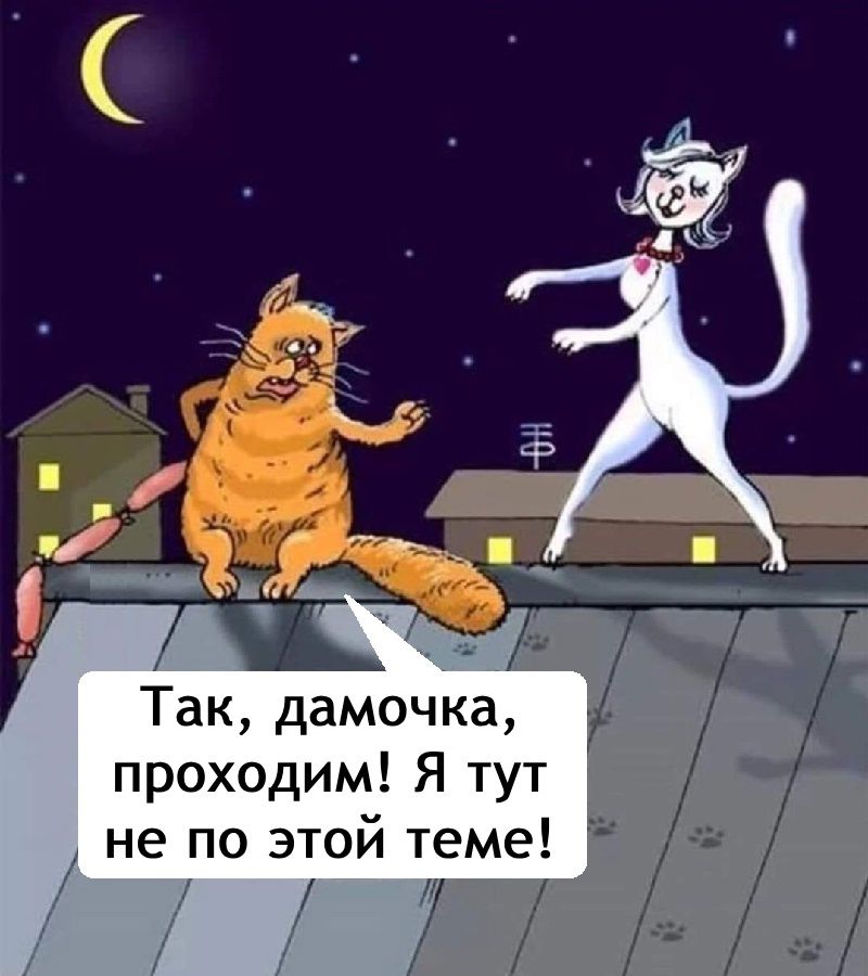 Так, дамочка, проходим! Я тут не по этой теме!