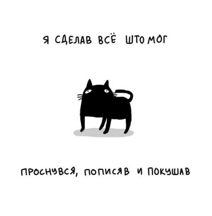 Я сделал всё что мог
Проснувшись, пописав и покушав