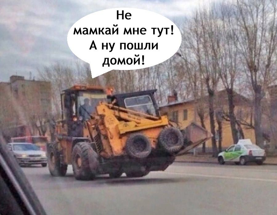 Не мамкай мне тут! А ну пошли домой!