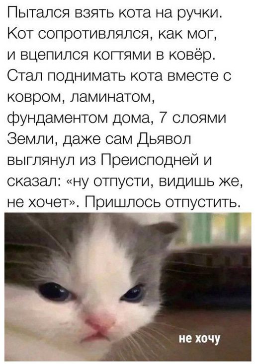 Пытался взять кота на ручки. Кот сопротивлялся, как мог, и вцепился когтями в ковёр. Стал поднимать кота вместе с ковром, ламинатом, фундаментом дома, 7 слоями Земли, даже сам Дьявол выглянул из Преисподней и сказал: «ну отпусти, видишь же, не хочет». Пришлось отпустить.