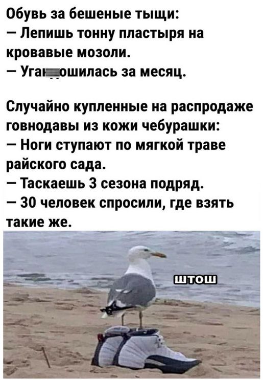 Обувь за бешеные тыщи:
— Лепишь тонну пластыра на кровавые мозоли.
— Уга...ошилась за месяц.

Случайно купленные на распродаже говнодавы из кожи чебурашки:
— Ноги стupaют по мягкой траве райского сада.
— Таскаешь 3 сезона подряд.
— 30 человек спросили, где взять такие же.