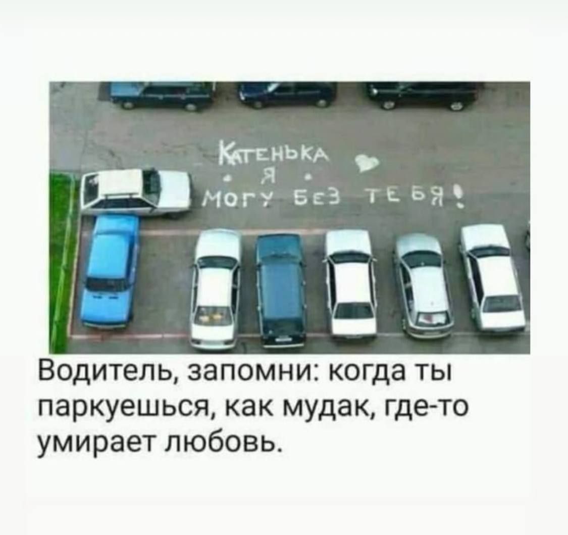 Котёнка, я могу без тебя! Водитель, запомни: когда ты паркуешься, как мудак, где-то умирает любовь.