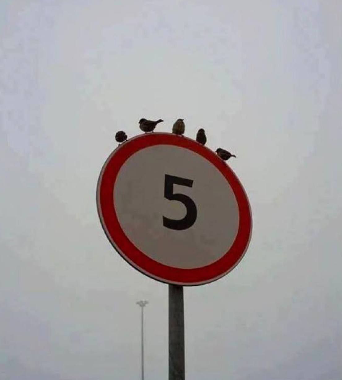 5