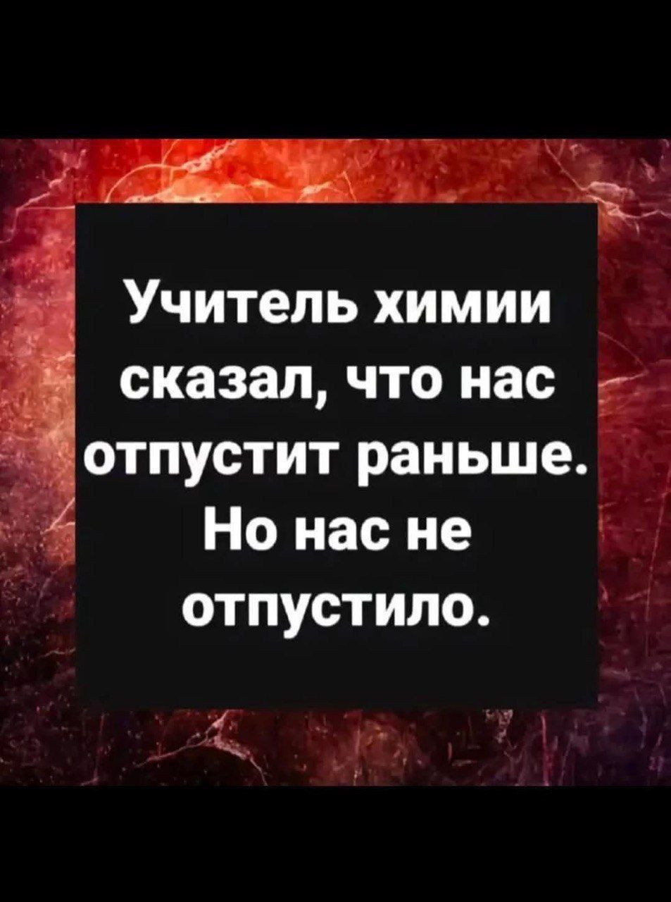 Учитель химии сказал, что нас отпустит раньше. Но нас не отпустило.