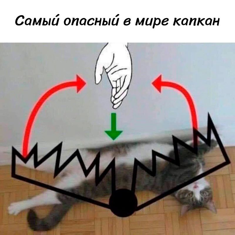 Самый опасный в мире капкан
