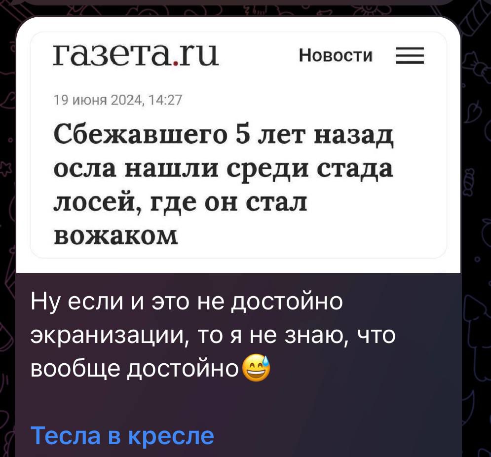 Сбежавшего 5 лет назад осла нашли среди стада лосей, где он стал вожаком
Ну если и это не достойно экранизации, то я не знаю, что вообще достойно😄