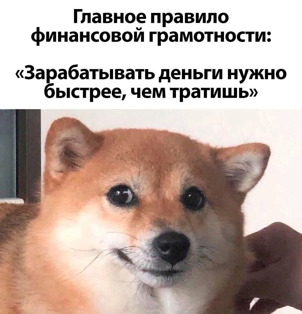 Главное правило финансовой грамотности: «Зарабатывать деньги нужно быстрее, чем тратишь»
