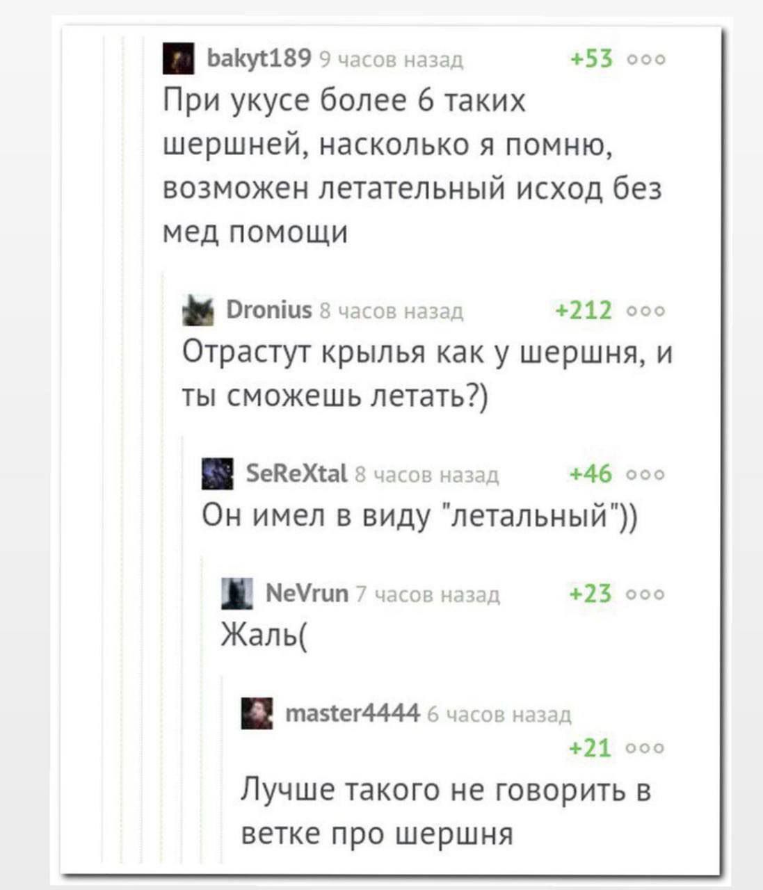 При укусе более 6 таких шершней, насколько я помню, возможен летальный исход без мед помощи
Отрастут крылья как у шершня, и ты сможешь летать?)
Он имел в виду 
