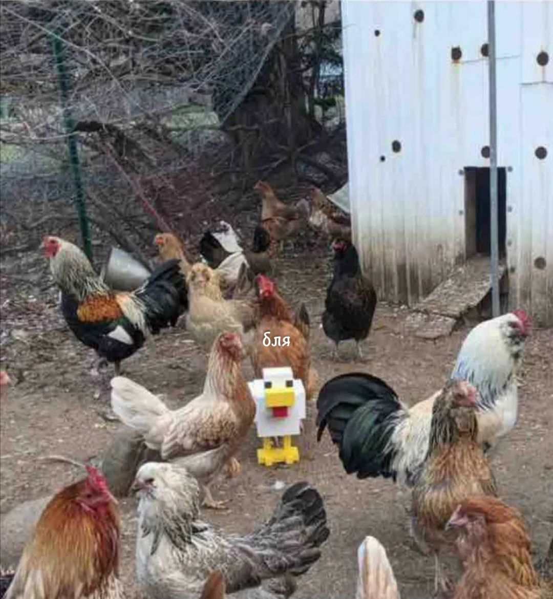 бля
