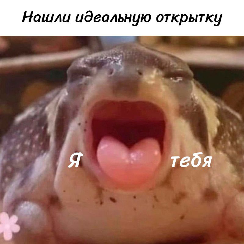 Нашли идеальную открытку
Я люблю тебя