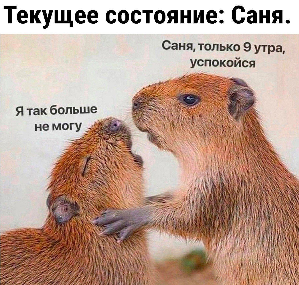 Текущее состояние: Саня.
Саня, только 9 утра, успокойся
Я так больше не могу