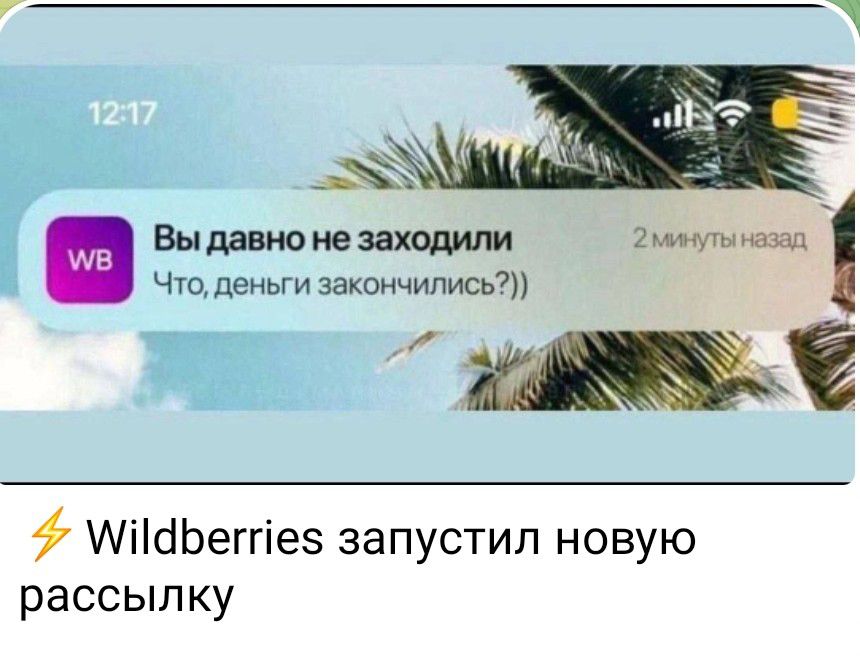 Вы давно не заходили
Что, деньги закончились?))
⚡ Wildberries запустил новую рассылку