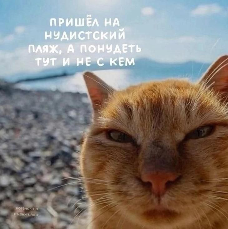 ПРИШЁЛ НА НУДИСТСКИЙ ПЛЯЖ, А ПОНУДЕТЬ ТУТ И НЕ С КЕМ