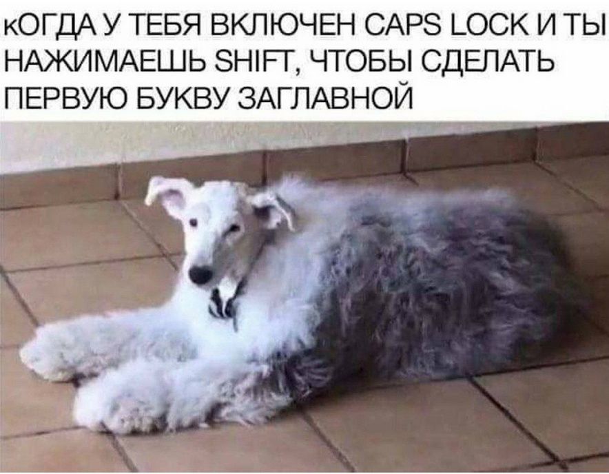 кОГДа У ТЕбЯ ВКЛючЕН CAPS LOCK И ТЫ НАЖИМАЕШЬ SHIFT, ЧТОБЫ СДЕЛАТЬ ПЕРВУЮ БУКВУ ЗАГЛАВНОЙ