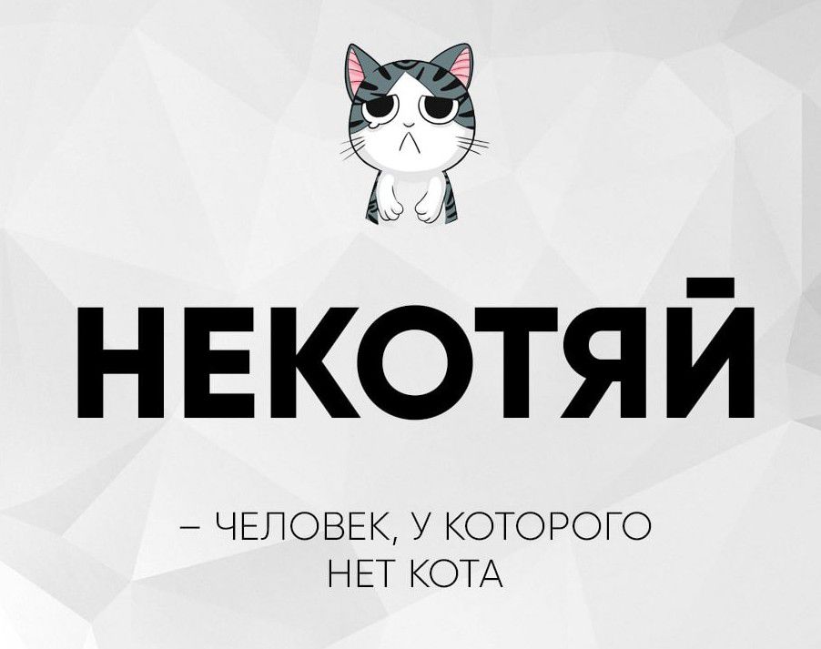 НЕКОТЯЙ
– ЧЕЛОВЕК, У КОТОРОГО НЕТ КОТА