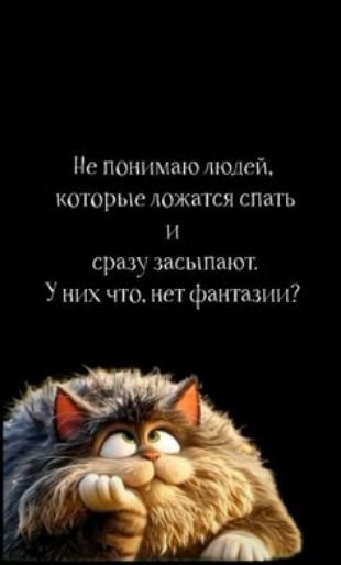 Не понимаю людей,
которые ложатся спать
и сразу засыпают.
У них что, нет фантазии?