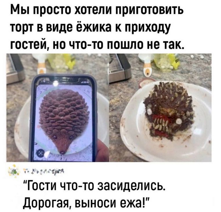 Мы просто хотели приготовить торт в виде ёжика к приходу гостей, но что-то пошло не так.

