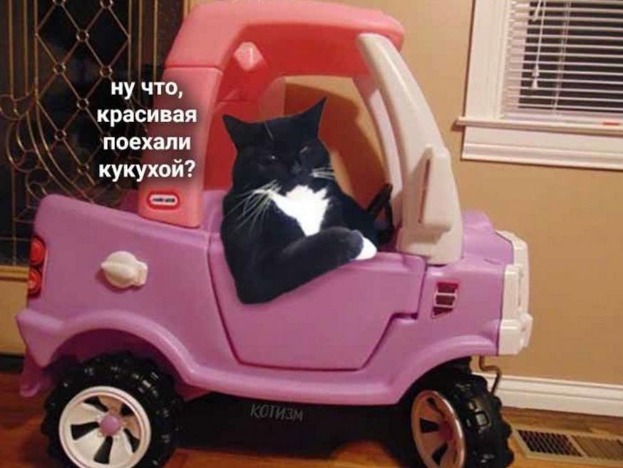 ну что, красивая поехали кукуткой?