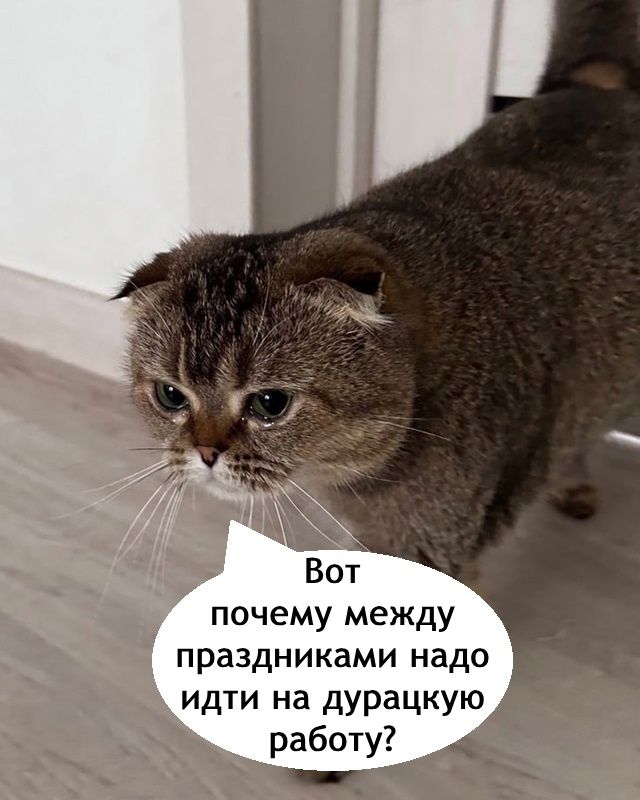 Вот почему между праздниками надо идти на дурацкую работу?