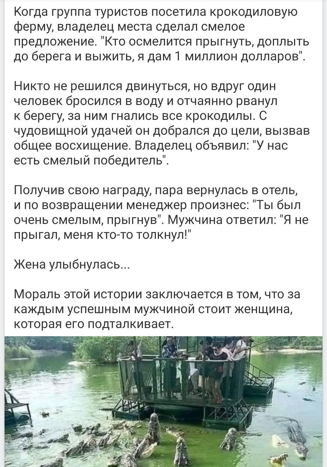 Когда группа туристов посетила крокодиловую ферму, владелец места сделал смелое предложение. 