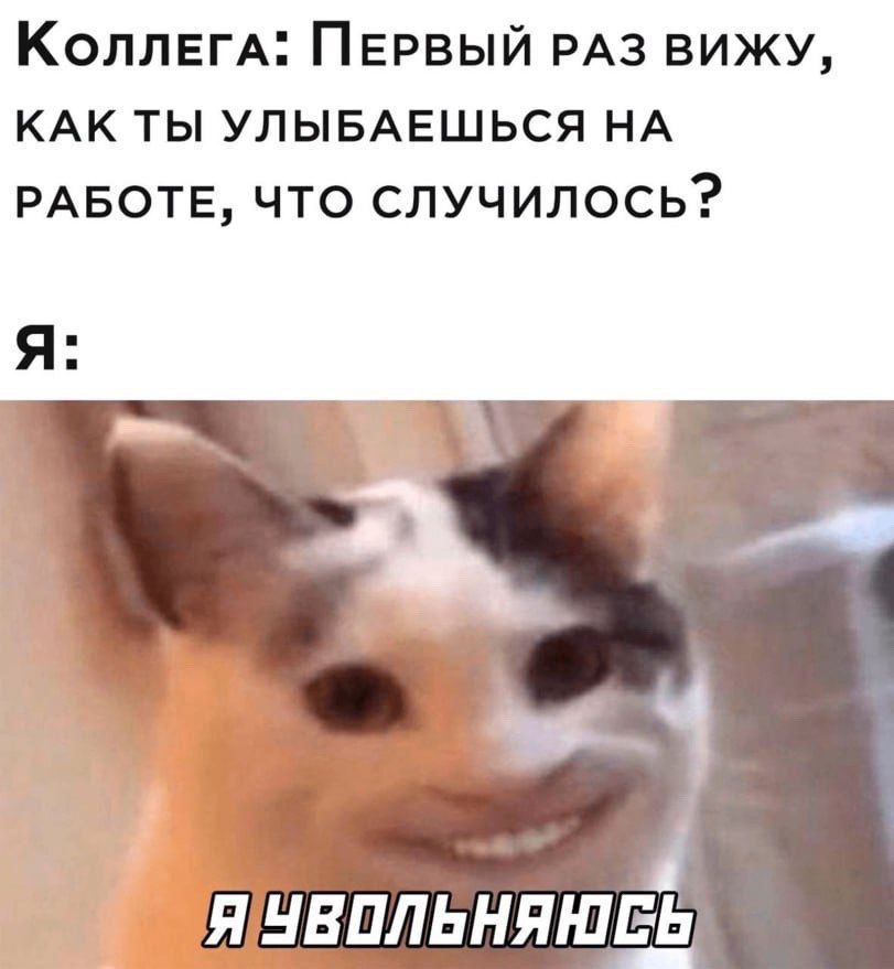 КОЛЛЕГА: ПЕРВЫЙ РАЗ ВИЖУ, КАК ТЫ УЛЫБАЕШЬСЯ НА РАБОТЕ, ЧТО СЛУЧИЛОСЬ? Я: Я УВОЛЬНЯЮСЬ