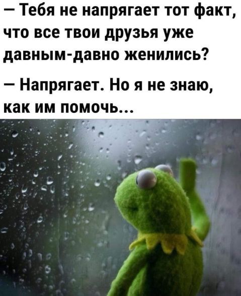 — Тебя не напрягает тот факт, что все твои друзья уже давным-давно женились?
— Напрягает. Но я не знаю, как им помочь...