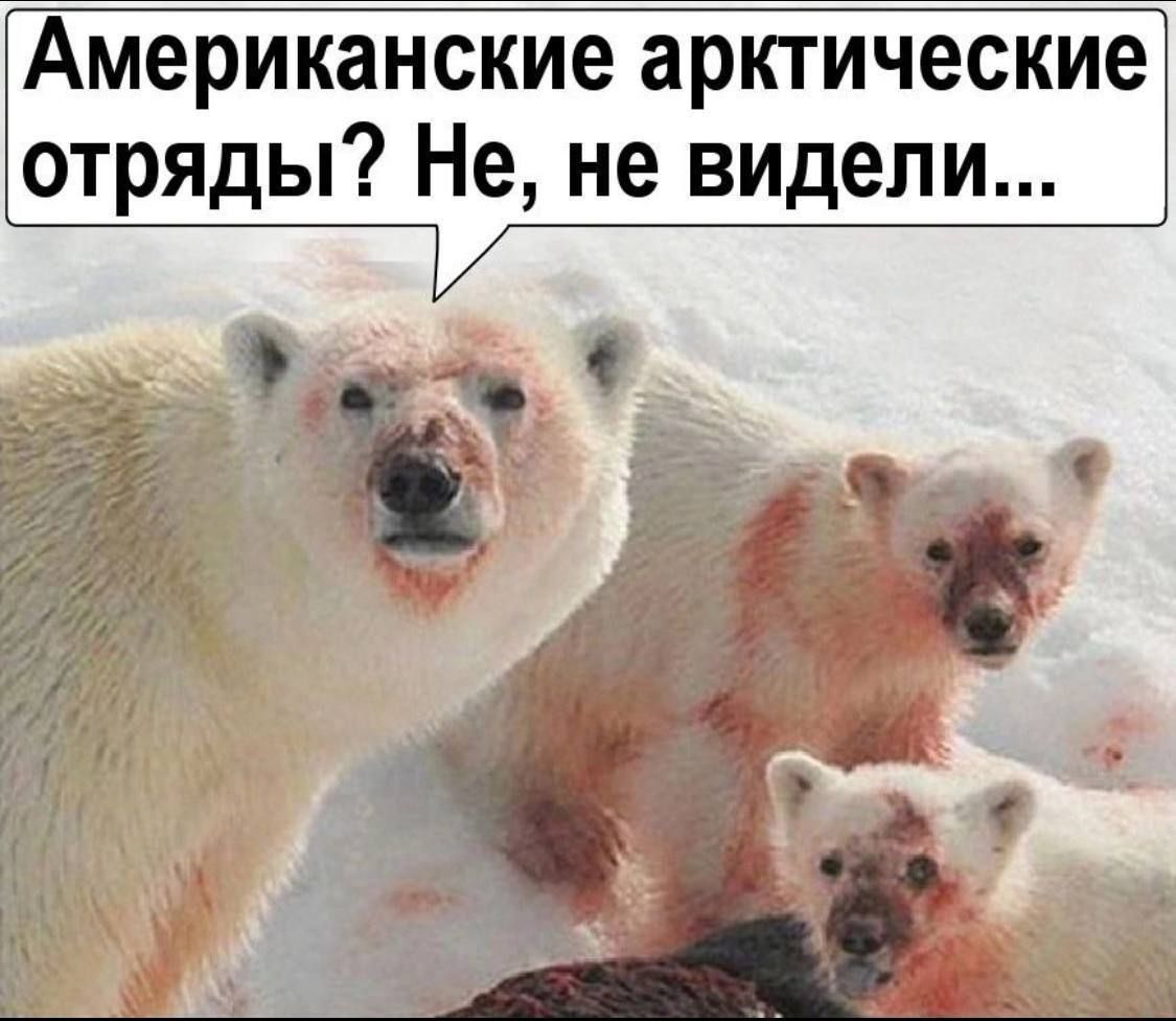 Американские арктические отряды? Не, не видели...