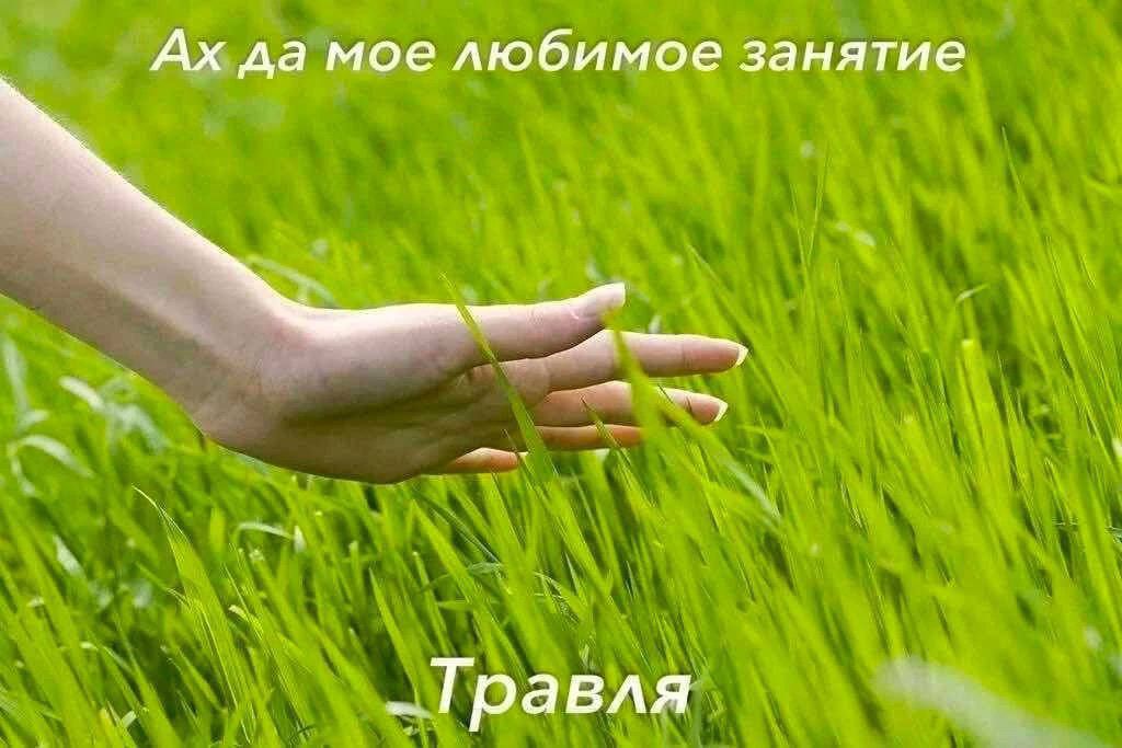 Ах да мое любимое занятие
Травля