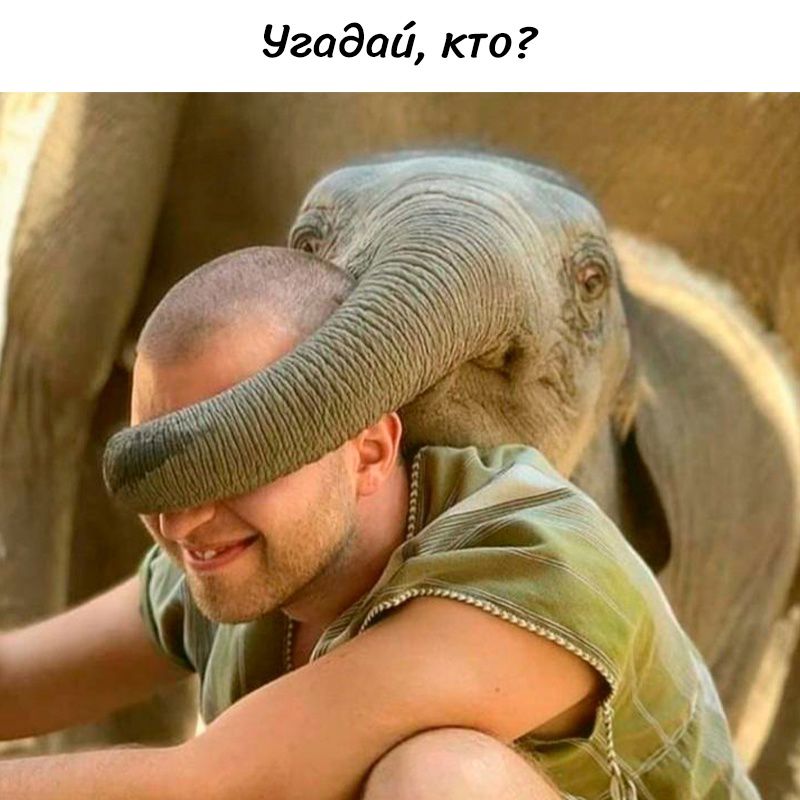 Угадай, кто?
