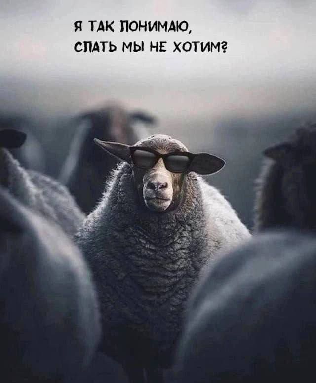 Я так понимаю, спать мы не хотим?