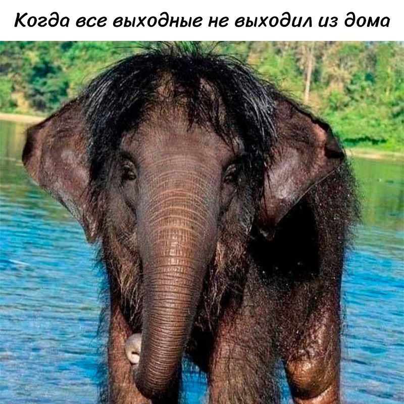 Когда все выходные не выходил из дома