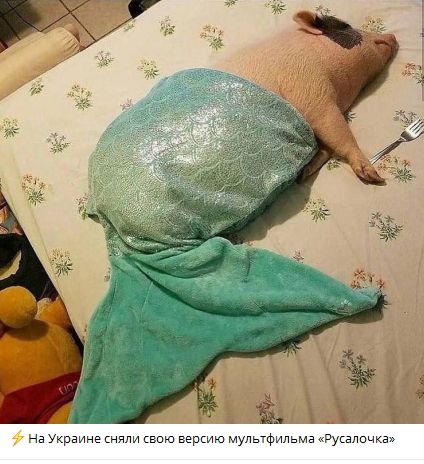 На Украине сняли свою версию мультфильма «Русалочка»