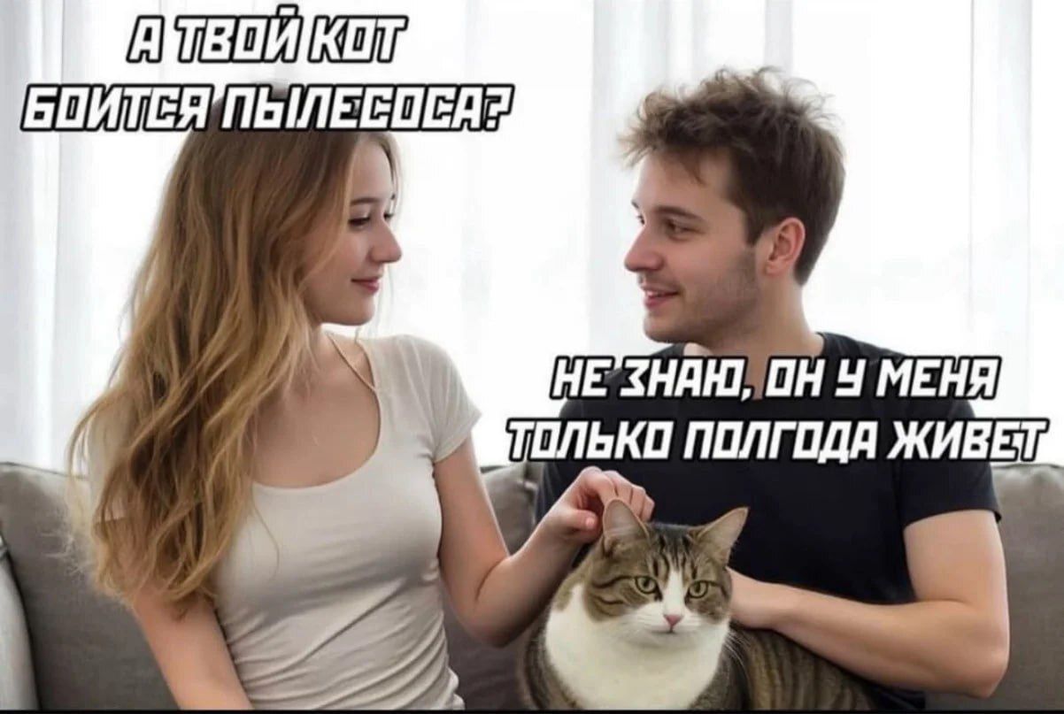А твой кот боится пылесоса? Не знаю, он у меня только полгода живёт.