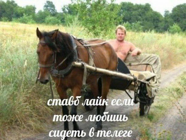 ставь лайк если можешь любишь сидеть в телеге