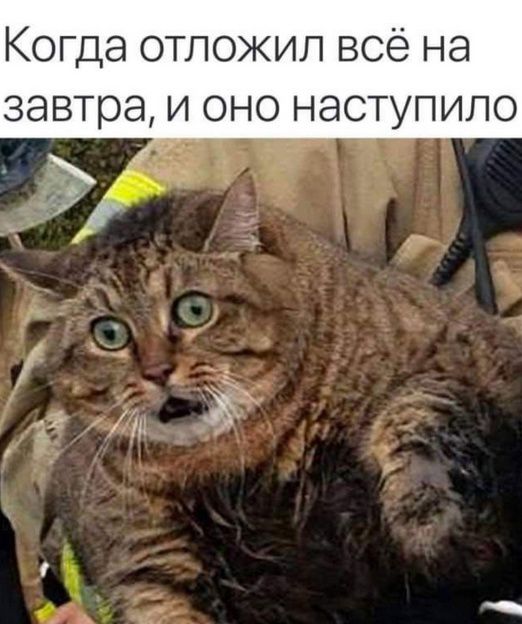 Когда отложил всё на завтра, и оно наступило