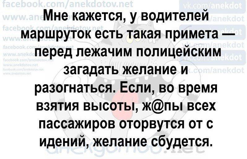 Мне кажется, у водителей маршруток есть такая примета — перед лежачим полицейским загадать желание и разогнаться. Если, во время взятия высоты, ж@пы всех пассажиров оторвутся от с идений, желание сбудется.