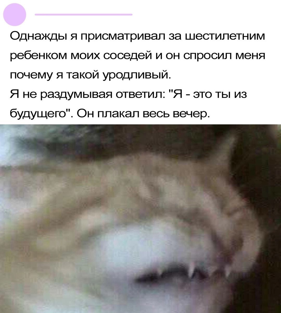 Однажды я присматривал за шестилетним ребенком моих соседей и он спросил меня почему я такой уродливый. Я не раздумывая ответил: 