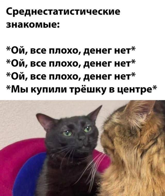 Среднестатистические знакомые:
*Ой, все плохо, денег нет*
*Ой, все плохо, денег нет*
*Ой, все плохо, денег нет*
*Мы купили трёшку в центре*