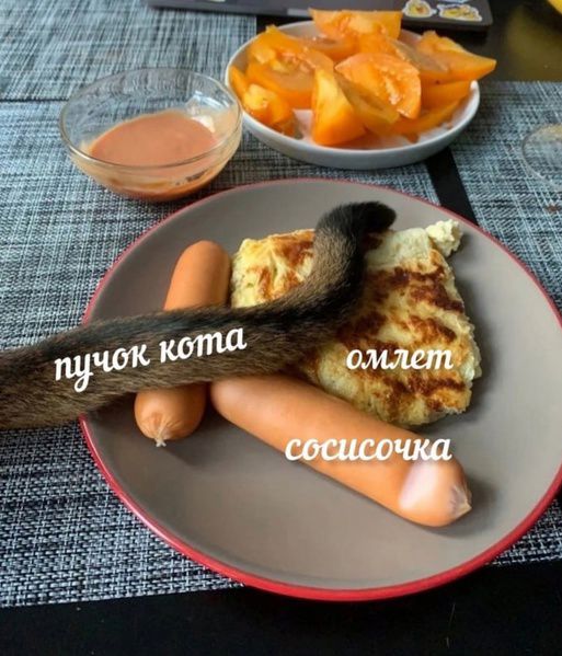 пучок кота омлет сосисочка