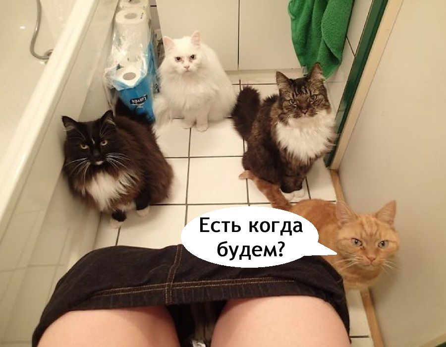 Есть когда будем?