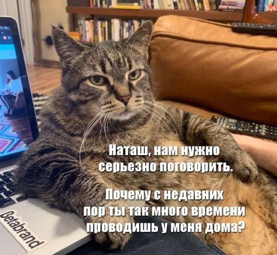 Наташ, нам нужно серьезно поговорить. Почему с недавних пор ты так много времени проводишь у меня дома?
