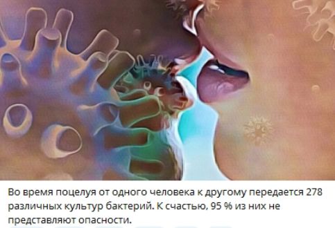 Во время поцелуя от одного человека к другому передается 278 различных культур бактерий. К счастью, 95 % из них не представляют опасности.