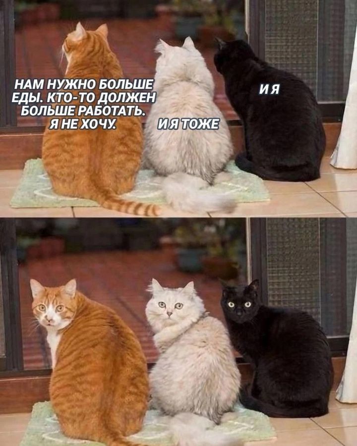 Нам нужно больше еды. Кто-то должен больше работать. Я не хочу. И я тоже.