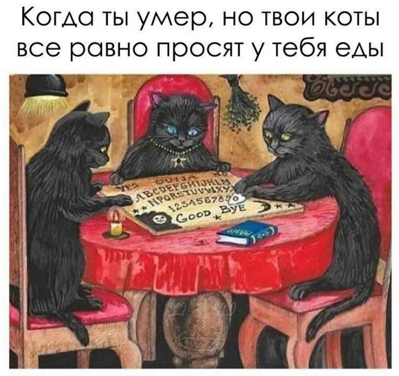 Когда ты умер, но твои коты все равно просят у тебя еды