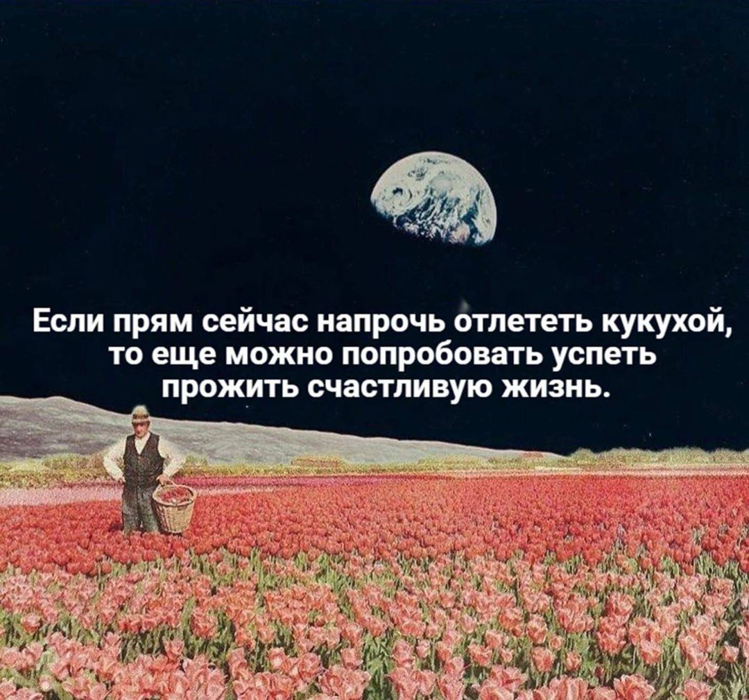 Если прямо сейчас напрочь улететь кукушкой, то еще можно попробовать успеть прожить счастливую жизнь.