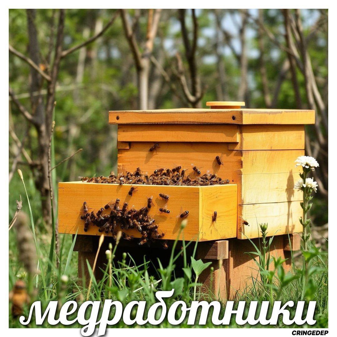 медработники