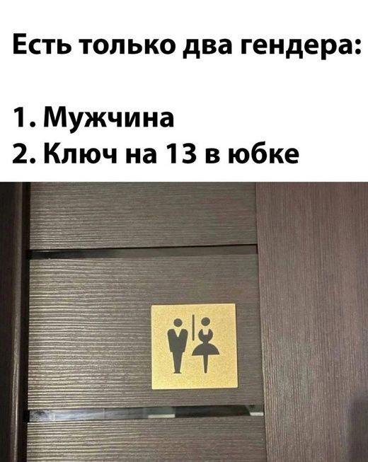 Есть только два гендера:
1. Мужчина
2. Ключ на 13 в юбке